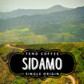 Sidamo, 1lb